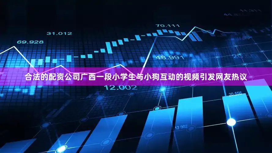 合法的配资公司广西一段小学生与小狗互动的视频引发网友热议