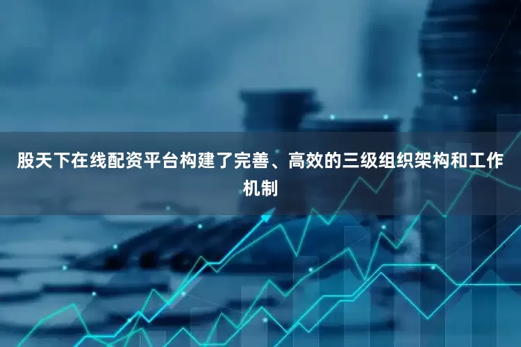 股天下在线配资平台构建了完善、高效的三级组织架构和工作机制