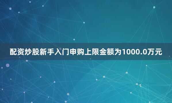 配资炒股新手入门申购上限金额为1000.0万元